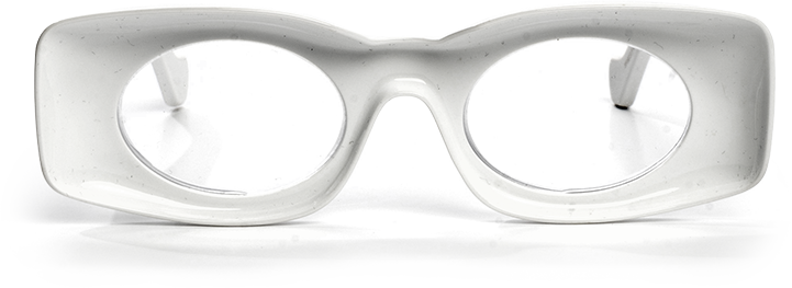The GOGGLES